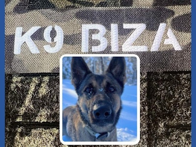 An Auburn Police Department K9 tracked a missing Massachusetts child in freezing weather for more than two miles.